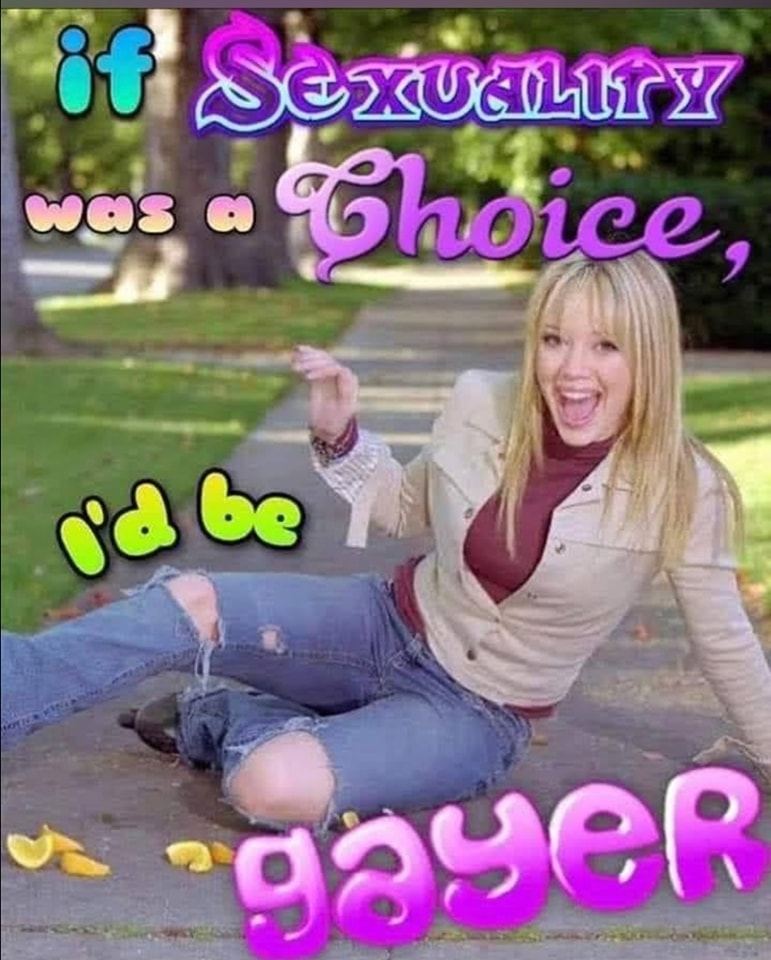 This meme is a photo of Hilary Duff, an American actress and singer, from her 2003 film "Lizzie McGuire" or its spin-off TV series. The image is captioned with the words "If sexuality was a choice, I'd be gay" - a phrase that is often used to express support for the LGBTQ+ community.